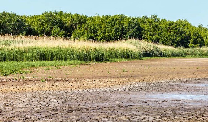 Caminhos sustentáveis...