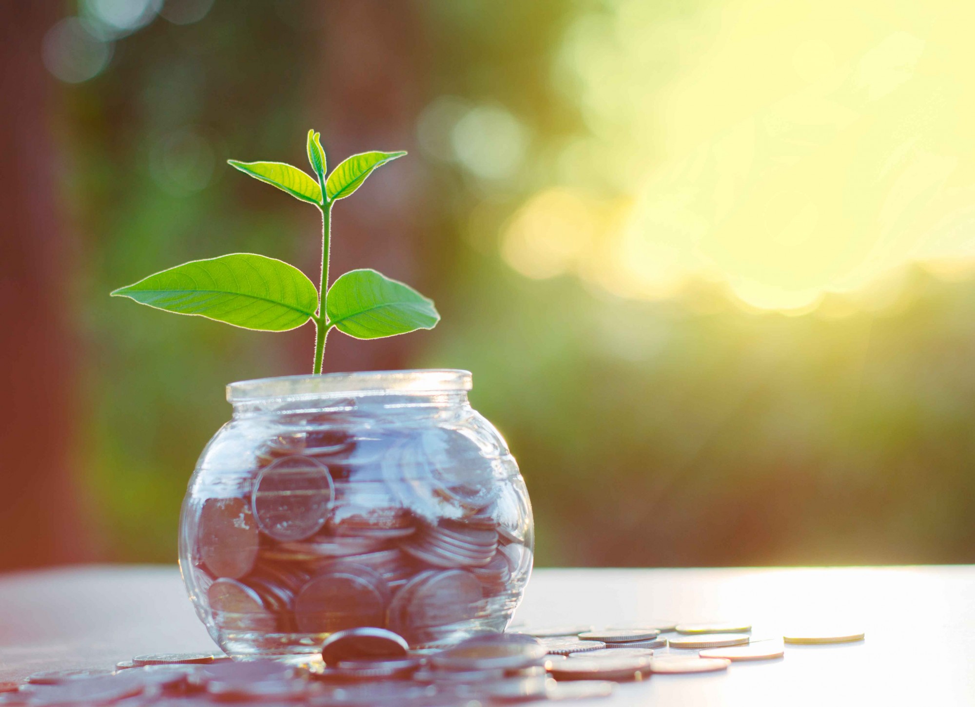 Poupar, investir e prosperar